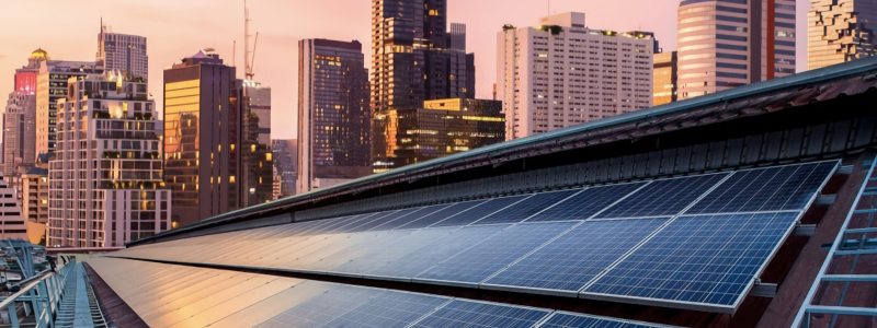 The Centre for Energy and Green Growth Research (CEGR) – CEGR news